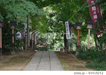 (神社の風景)栃木県小山市 間々田八幡 涼しげな参道 (神社の風景)栃木県小山市 間々田八幡 涼しげな参道 93419252