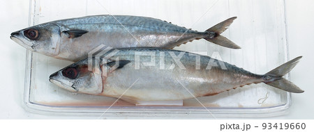サバ 魚 紫斑 93419660