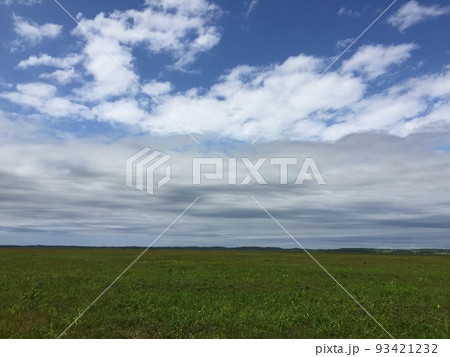 サロベツ原生花園の風景 93421232