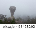 The strange stone ( Look like a trophy cup ) with mist in the morning at Pa Hin Ngam national park . Chaiyaphum , Thailand . 93423292