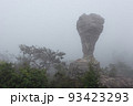 The strange stone ( Look like a trophy cup ) with mist in the morning at Pa Hin Ngam national park . Chaiyaphum , Thailand . 93423293