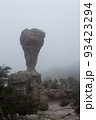 The strange stone ( Look like a trophy cup ) with mist in the morning at Pa Hin Ngam national park . Chaiyaphum , Thailand . 93423294