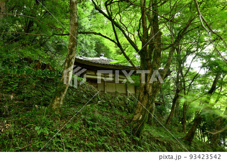 牛滝山大威徳寺 【大阪府岸和田市】 牛滝山大威徳寺 【大阪府岸和田市】 93423542