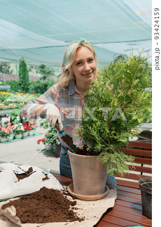 Woman planting a bush in flower pot using dirt in garden center 93424159
