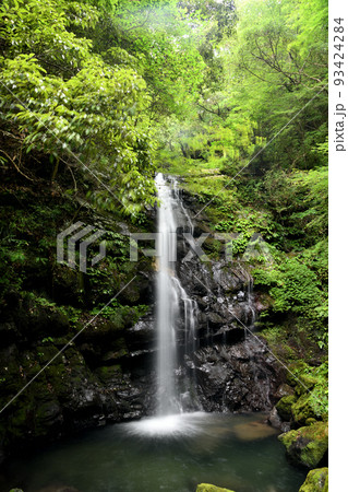 一の滝(牛滝山大威徳寺) 【大阪府岸和田市】 一の滝(牛滝山大威徳寺) 【大阪府岸和田市】 93424284