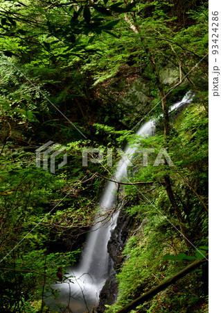 一の滝(牛滝山大威徳寺) 【大阪府岸和田市】 一の滝(牛滝山大威徳寺) 【大阪府岸和田市】 93424286