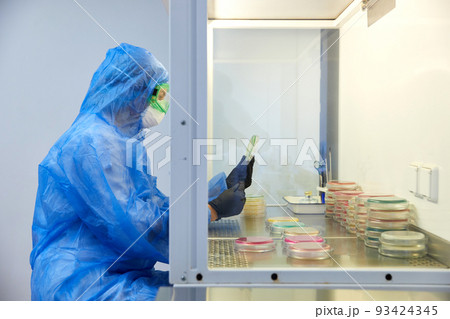 female science researcher in protective uniform and equipment works with petri dish in laboratory female science researcher in protective uniform and equipment works with petri dish in laboratory 93424345