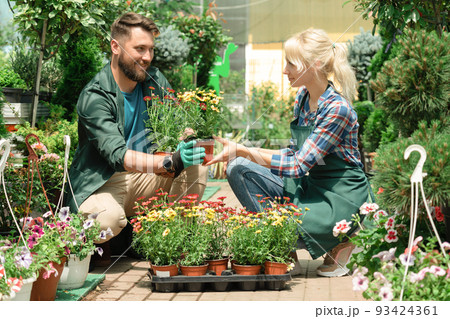 Gardeners working with flowers in garden center 93424361