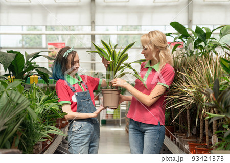 Two young women working in garden center arranging flowers 93424373