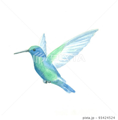 水彩画：鳥のイラスト素材 [93424524] - PIXTA