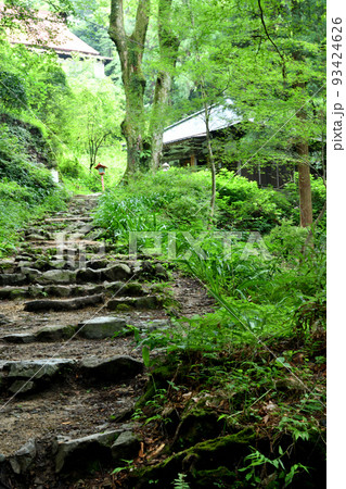 施福寺(弘法大師御剃髪所跡) 【大阪府和泉市槇尾山町】 施福寺(弘法大師御剃髪所跡) 【大阪府和泉市槇尾山町】 93424626