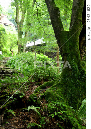 施福寺(弘法大師御剃髪所跡)　【大阪府和泉市槇尾山町】 93424629