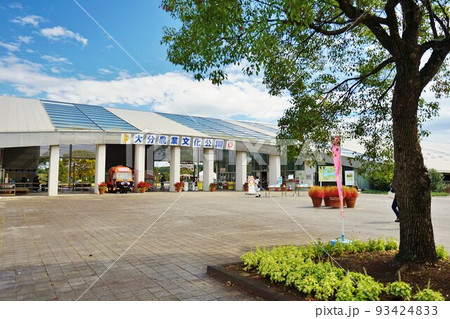 大分農業文化公園コキアの風景 るるパーク 大分農業文化公園コキアの風景 るるパーク 93424833