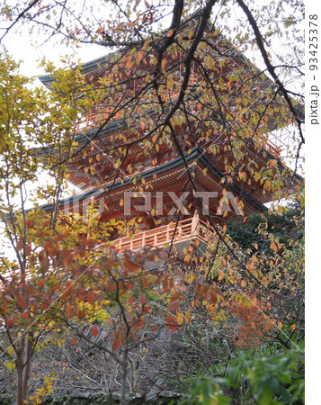 秋の那智山三重塔を見上げる 秋の那智山三重塔を見上げる 93425378