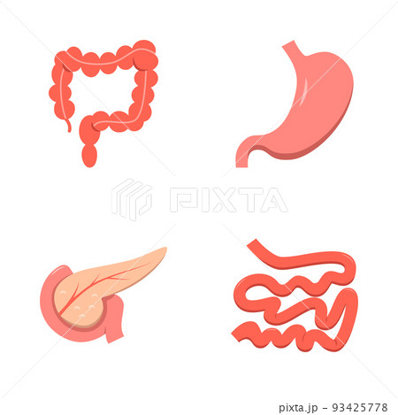 Digestive system icon set in flat style 93425778