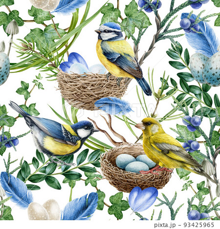 Forest birds on the branches seamless pattern. Watercolor illustration. Realistic chickadees forest birds, nest, feathers, tree branches seamless pattern. Natural wildlife element. White background 93425965