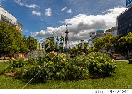 札幌　テレビ塔　さっぽろ大通公園 93426046