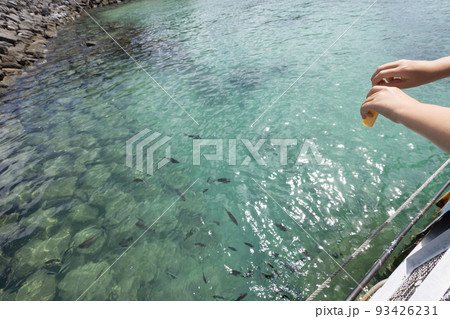 ［沖縄県・名護市］ブセナ海中公園・魚の餌やり 93426231