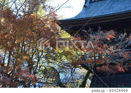 観福寺 2021-12-4 #58 観福寺 2021-12-4 #58 93426469