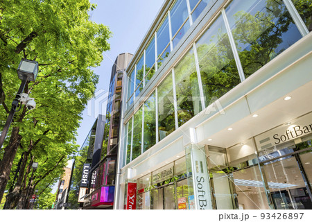 新緑の表参道の風景・鮮やかなケヤキ並木と街並み 93426897