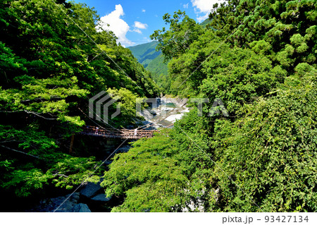 祖谷かずら橋(徳島県三好市西祖谷山村善徳) 祖谷かずら橋(徳島県三好市西祖谷山村善徳) 93427134