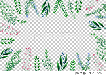 植物的框架 植物的框架 93427263