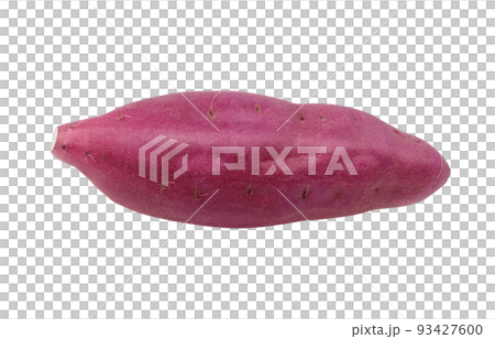 sweet potato sweet potato illustration real 93427600