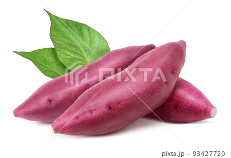 さつまいも サツマイモ イラスト リアル セット さつまいも サツマイモ イラスト リアル セット 93427720