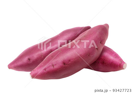 さつまいも サツマイモ イラスト リアル さつまいも サツマイモ イラスト リアル 93427723