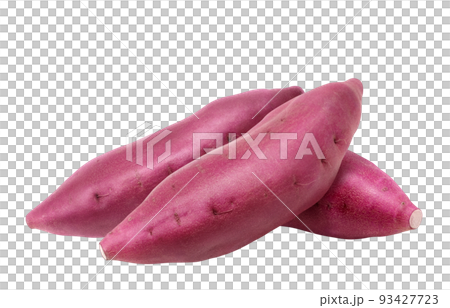 さつまいも サツマイモ イラスト リアル さつまいも サツマイモ イラスト リアル 93427723