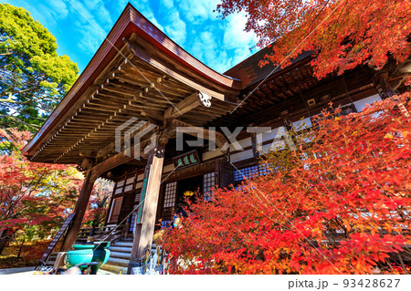 東京　世田谷区　秋の九品仏浄真寺の紅葉　浄真寺 93428627
