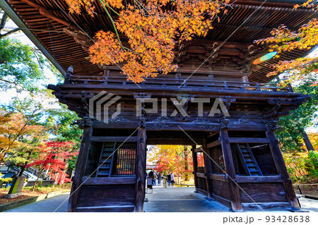 東京 世田谷区 秋の九品仏浄真寺の紅葉 仁王門の写真素材 [93428638] - PIXTA