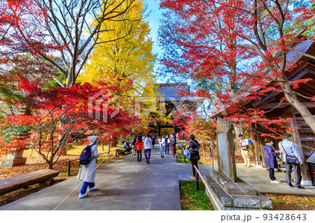 東京 世田谷区 秋の九品仏浄真寺の紅葉 仁王門 東京 世田谷区 秋の九品仏浄真寺の紅葉 仁王門 93428643