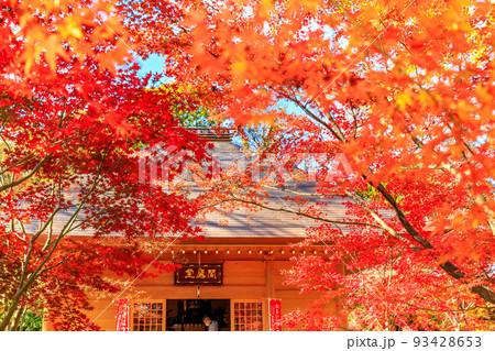 東京 世田谷区 秋の九品仏浄真寺の紅葉 閻魔堂 東京 世田谷区 秋の九品仏浄真寺の紅葉 閻魔堂 93428653