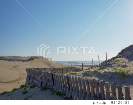 砂丘と海　茨城県神栖市須田浜海岸 93429482