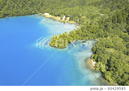 志賀高原　大沼池　ドローン空撮 93429585