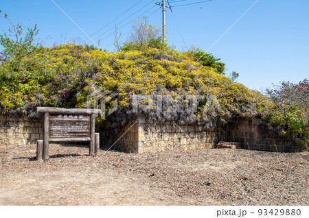 大久野島の中部砲台跡　広島県竹原市忠海町 93429880