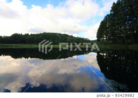 龍王ヶ淵の水鏡 龍王ヶ淵の水鏡 93429982