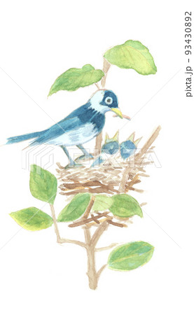 水彩画：鳥4 93430892