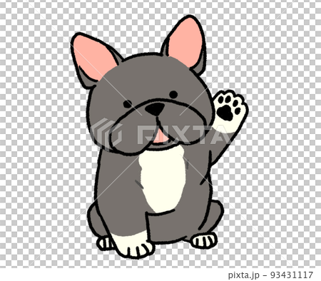 片手を挙げている黒のフレンチブルドッグ 片手を挙げている黒のフレンチブルドッグ 93431117