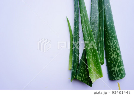 aloe vera on the white background aloe vera on the white background 93431445