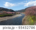 河津川清流沿いの満開桜並木と青空、白い雲。遠い山並みも見える。 93432786