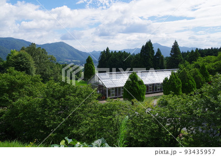 邑南町香木の森公園の景色 邑南町香木の森公園の景色 93435957