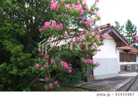邑南町民家の花の景色 93435967