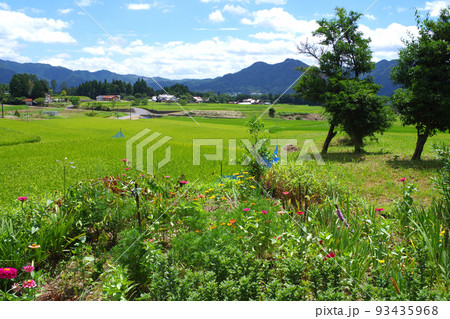 邑南町夏の田園風景 邑南町夏の田園風景 93435968