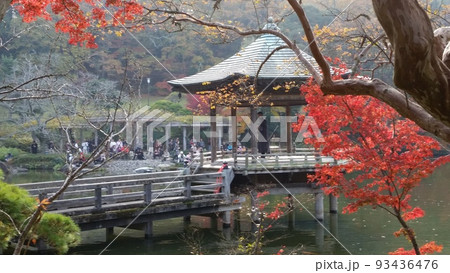 成田山新勝寺の紅葉 93436476
