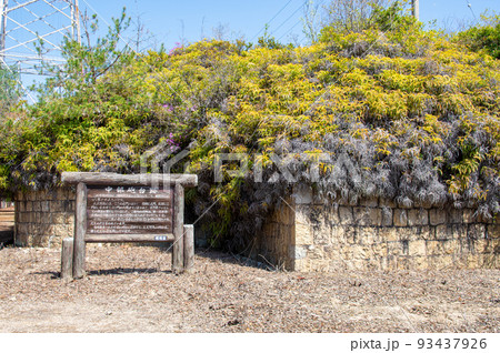 大久野島の中部砲台跡 広島県竹原市忠海町 大久野島の中部砲台跡 広島県竹原市忠海町 93437926