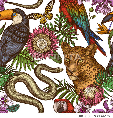 Tropical animals seamless pattern background design. Engraved style. Hand drawn leopard, snake, toucan, scarlet macaw, african giant swallowtail, monstera, strelitzia, tropical palm leaves, orchid 93438275