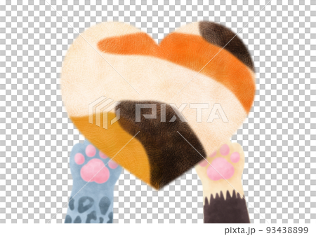 Fluffy calico heart and cat's hand Fluffy calico heart and cat's hand 93438899