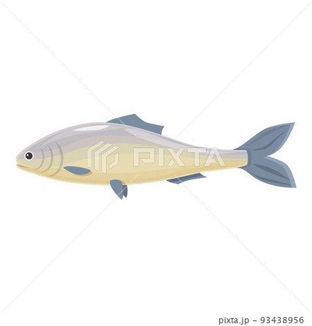 Trout herring icon cartoon vector. Sea fish. Sardine food 93438956